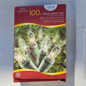 Holiday Time Clear Mini Light Set with Green Wire